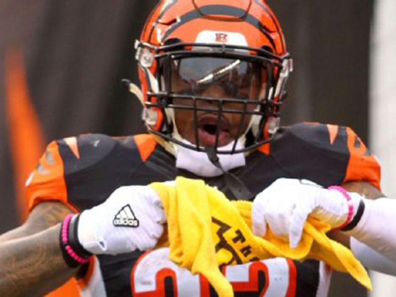 Bengals RB Jeremey Hill disrespects Terrible Towel in loss to Steelers